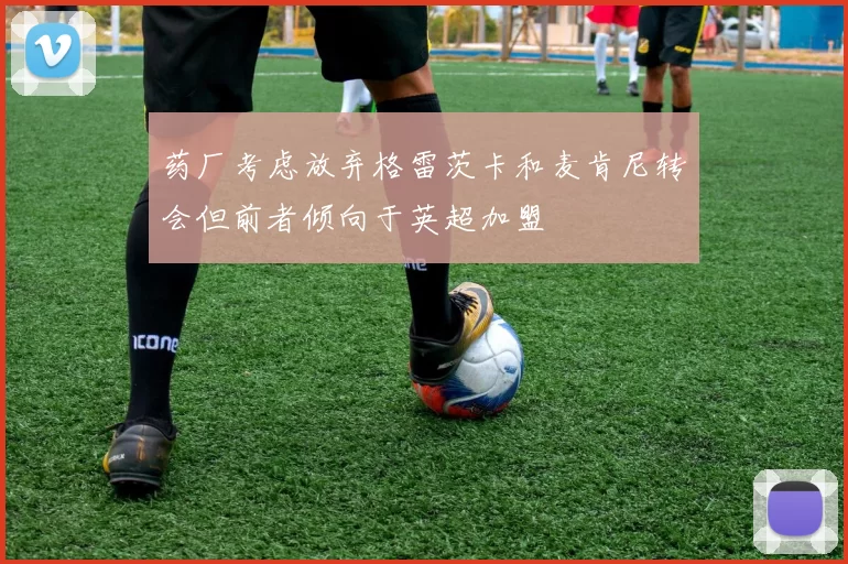 药厂考虑放弃格雷茨卡和麦肯尼转会但前者倾向于英超加盟